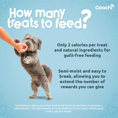 Coachi Natural Puppy Training Treats - Chicken - 100g