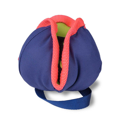 Coachi Chase & Treat Dog Toy - Navy, Lime & Coral