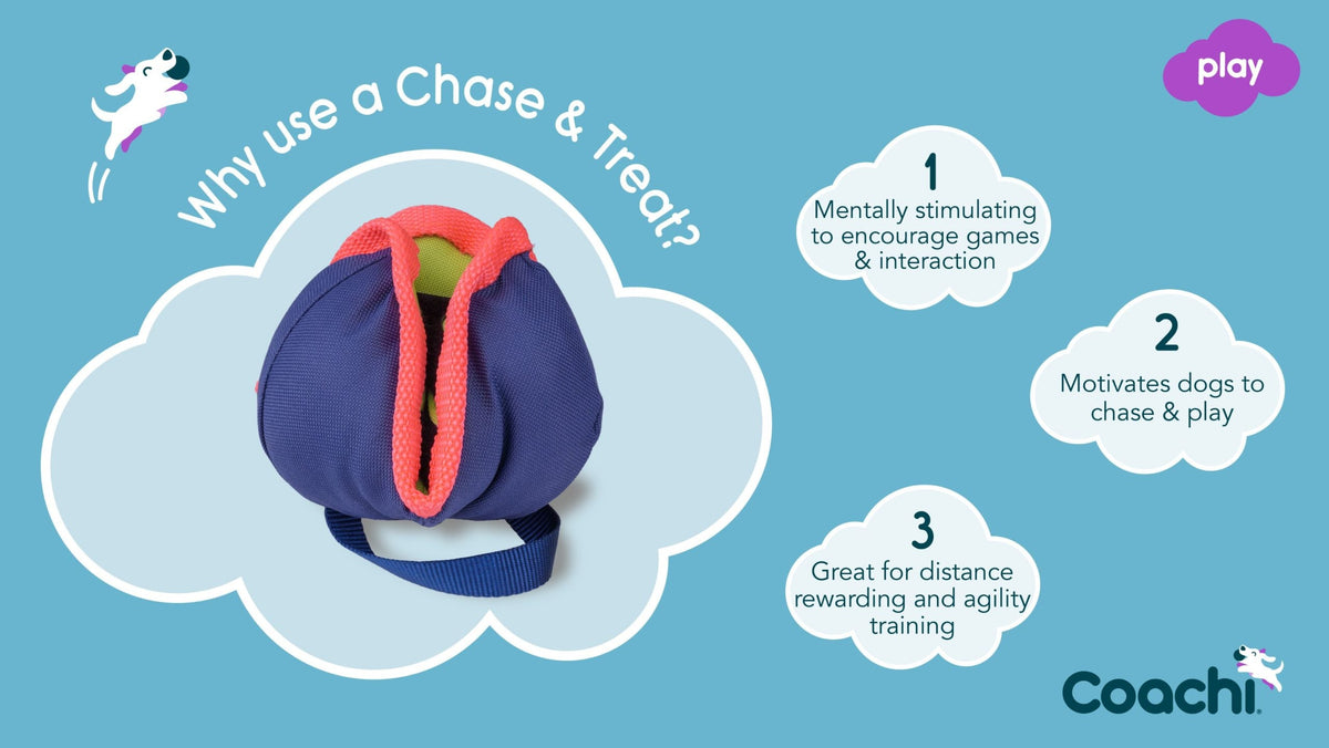 Coachi Chase & Treat Dog Toy - Navy, Lime & Coral