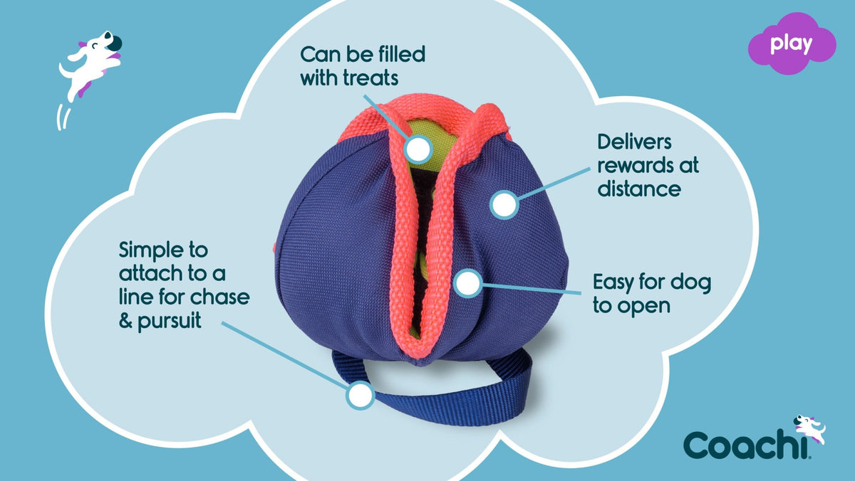Coachi Chase & Treat Dog Toy - Navy, Lime & Coral