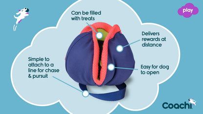 Coachi Chase & Treat Dog Toy - Navy, Lime & Coral