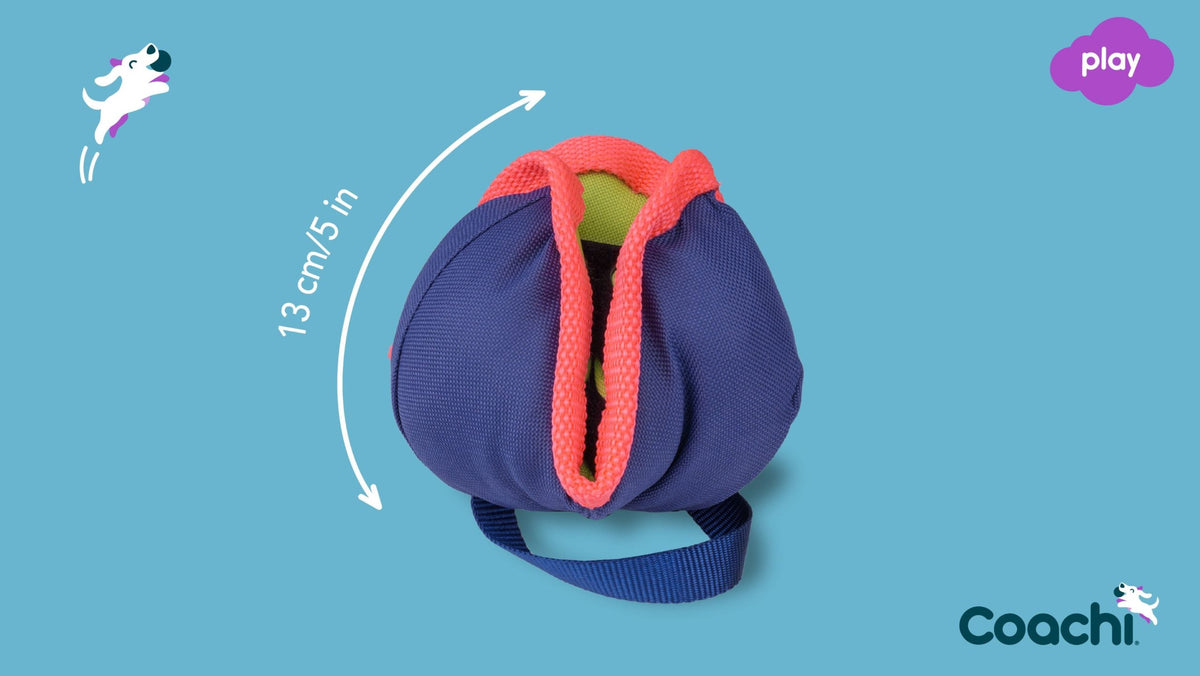 Coachi Chase & Treat Dog Toy - Navy, Lime & Coral