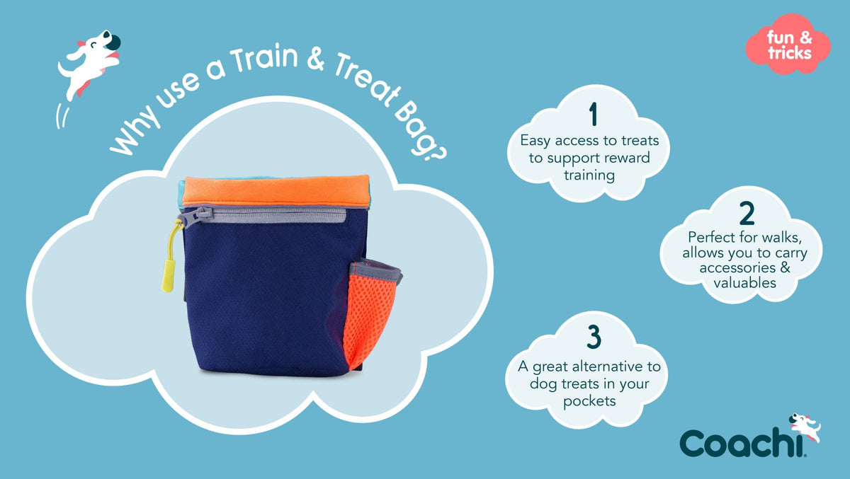 Coachi Train & Treat Dog Treat Bag
