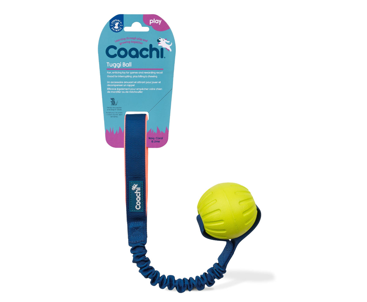 Coachi Tuggi Ball Dog Toy - Navy, Coral & Lime