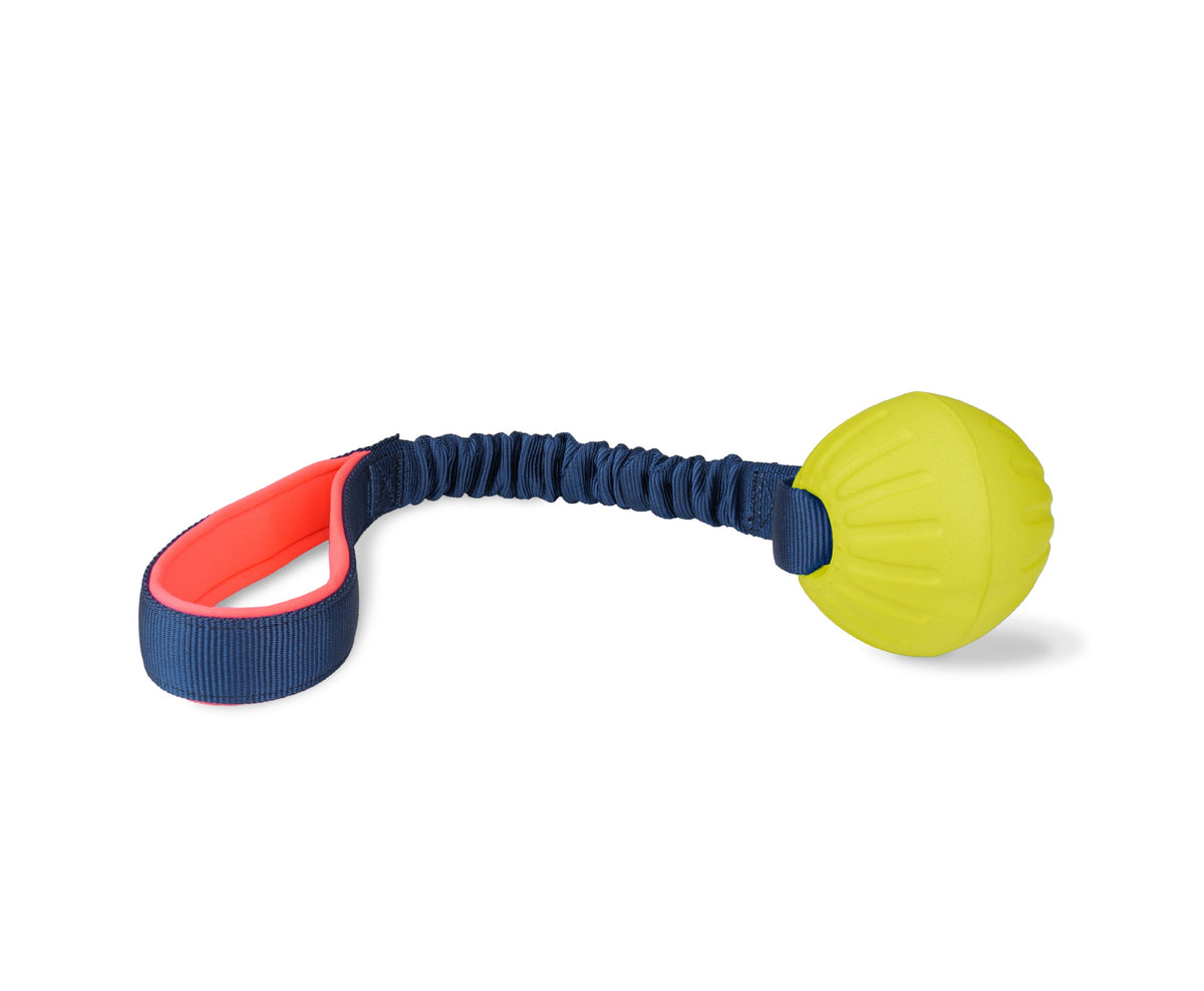 Coachi Tuggi Ball Dog Toy - Navy, Coral & Lime