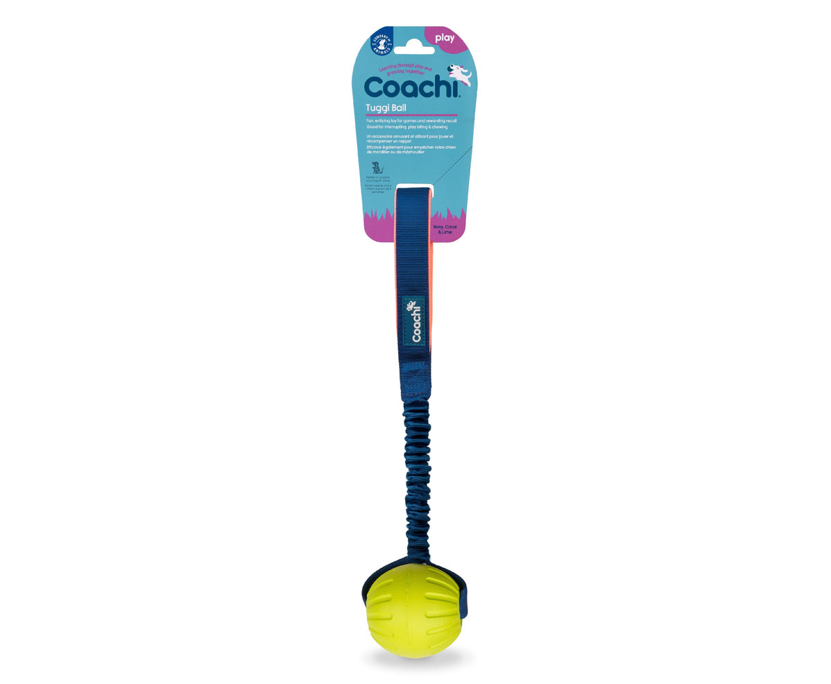 Coachi Tuggi Ball Dog Toy - Navy, Coral & Lime