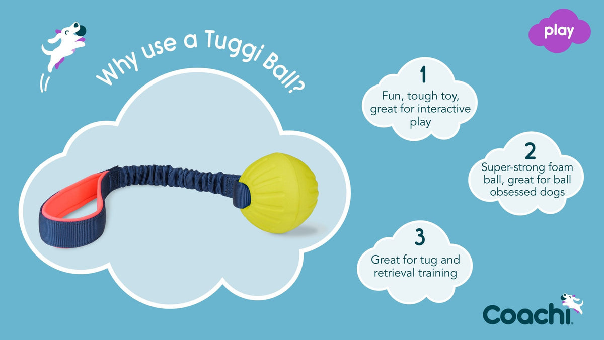 Coachi Tuggi Ball Dog Toy - Navy, Coral & Lime