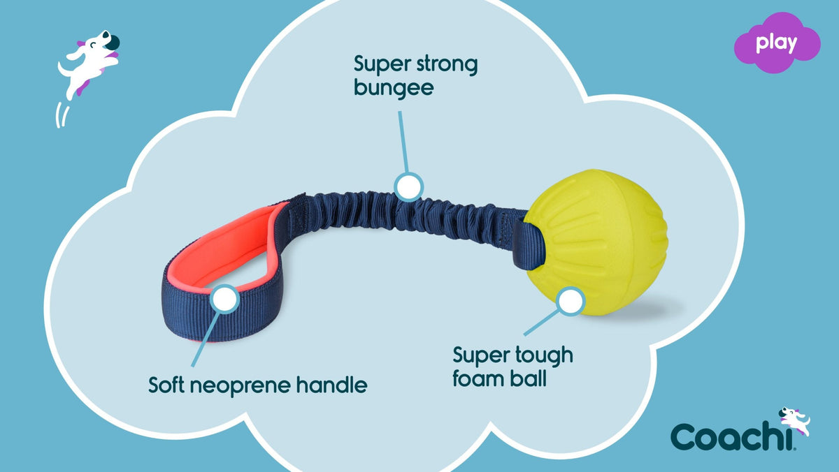 Coachi Tuggi Ball Dog Toy - Navy, Coral & Lime