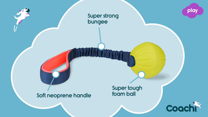 Coachi Tuggi Ball Dog Toy - Navy, Coral & Lime