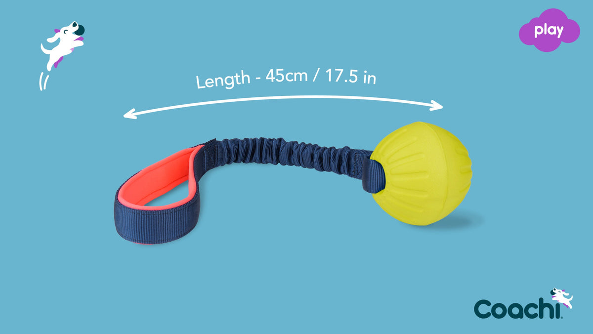 Coachi Tuggi Ball Dog Toy - Navy, Coral & Lime