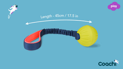 Coachi Tuggi Ball Dog Toy - Navy, Coral & Lime