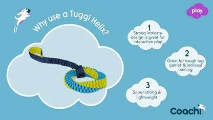 Coachi Tuggi Helix Dog Toy - Navy, Lime & Light Blue