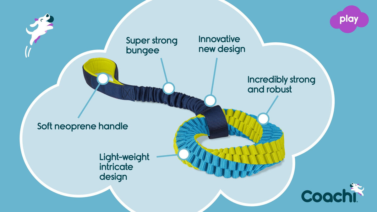 Coachi Tuggi Helix Dog Toy - Navy, Lime & Light Blue