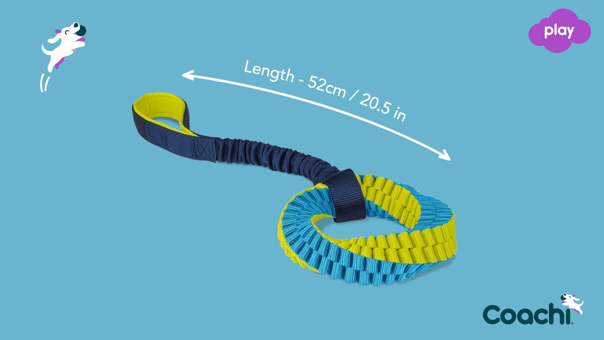 Coachi Tuggi Helix Dog Toy - Navy, Lime & Light Blue