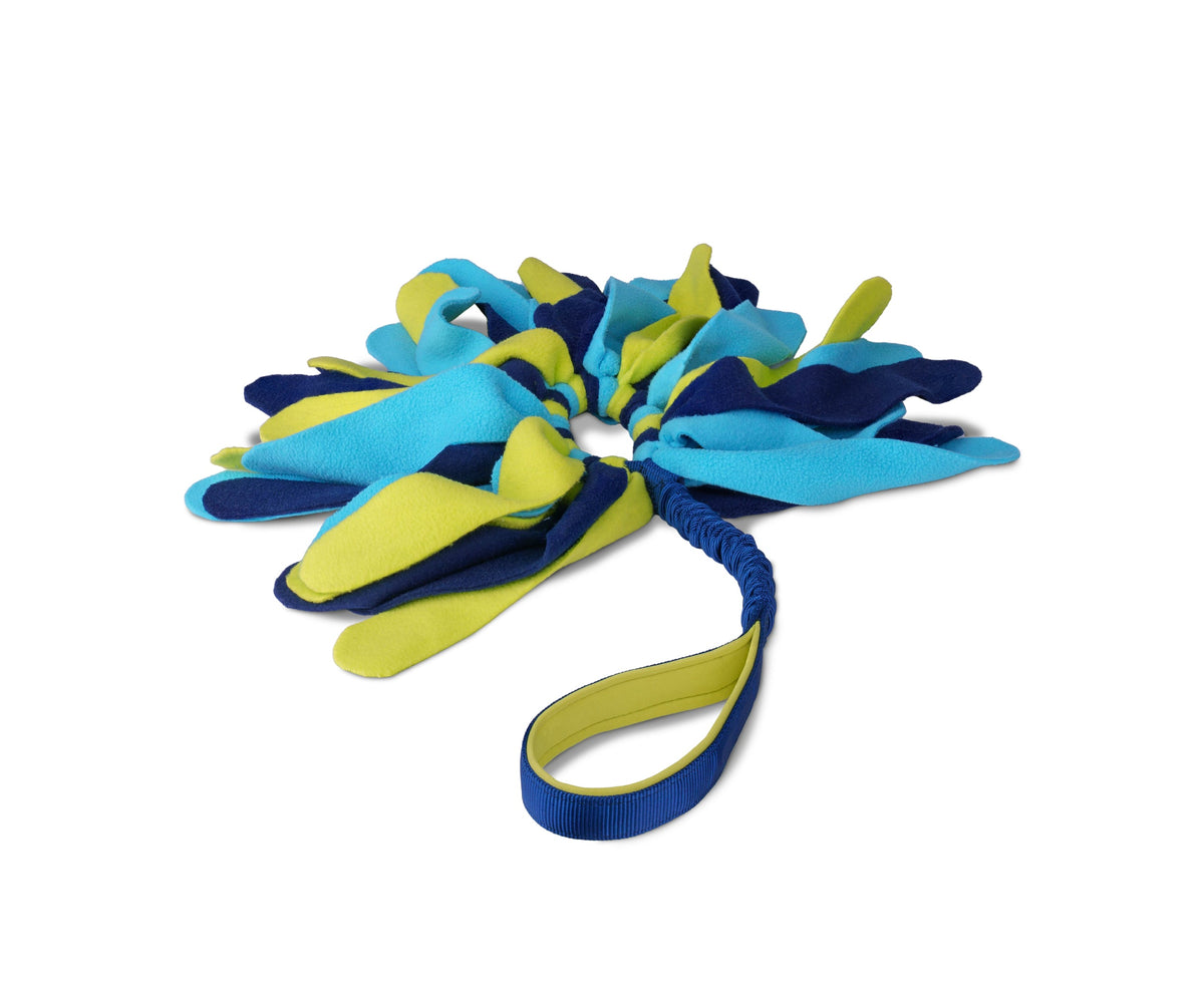 Coachi Tuggi Spider Dog Toy - Navy, Lime & Light Blue