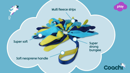 Coachi Tuggi Spider Dog Toy - Navy, Lime & Light Blue