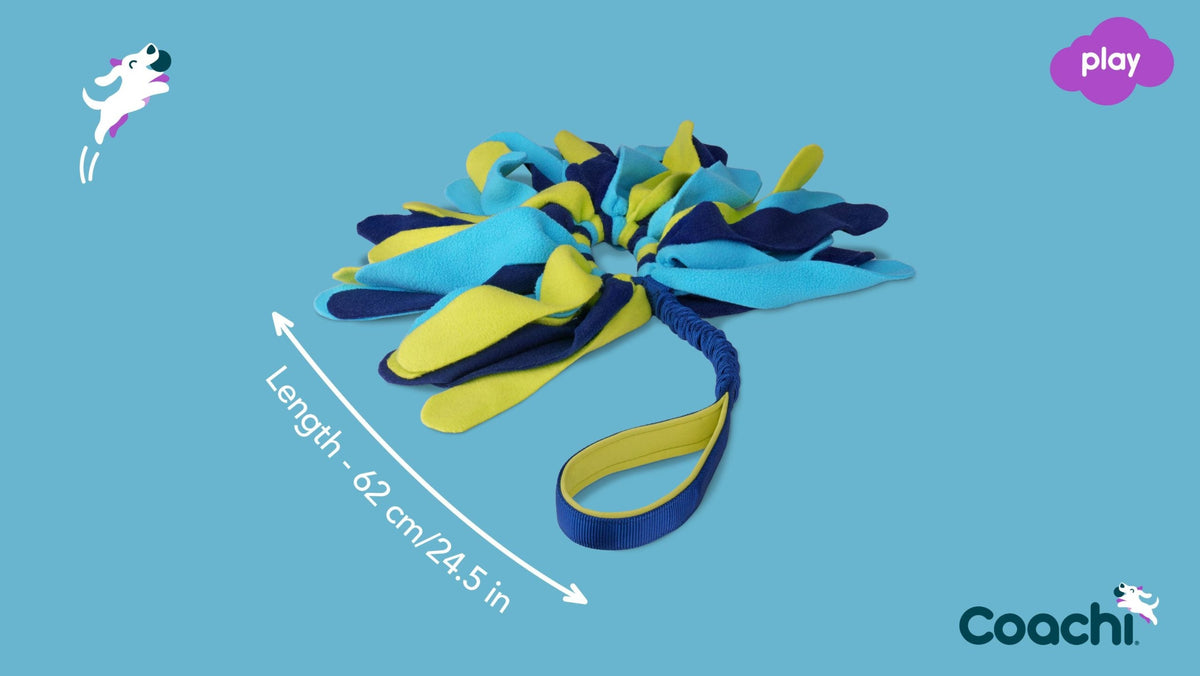 Coachi Tuggi Spider Dog Toy - Navy, Lime & Light Blue
