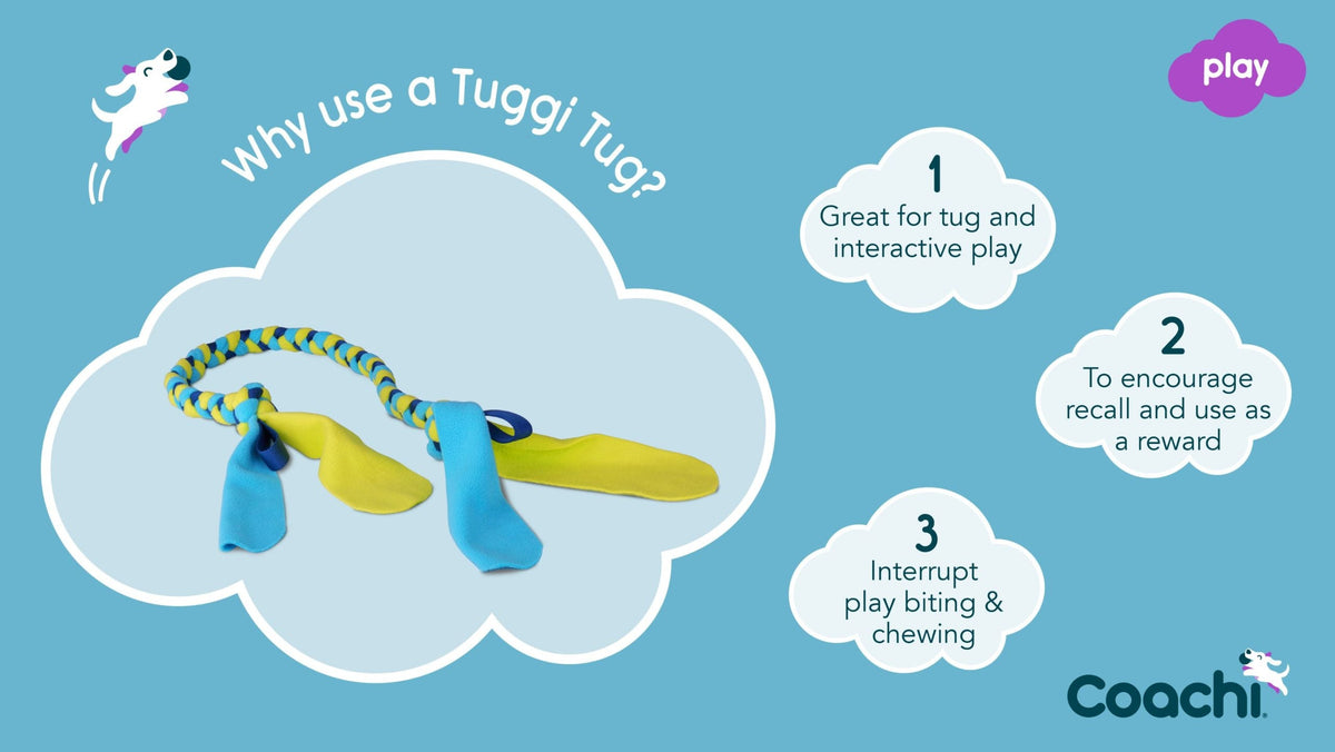 Coachi Tuggi Tug Dog Toy - Navy, Lime & Light Blue