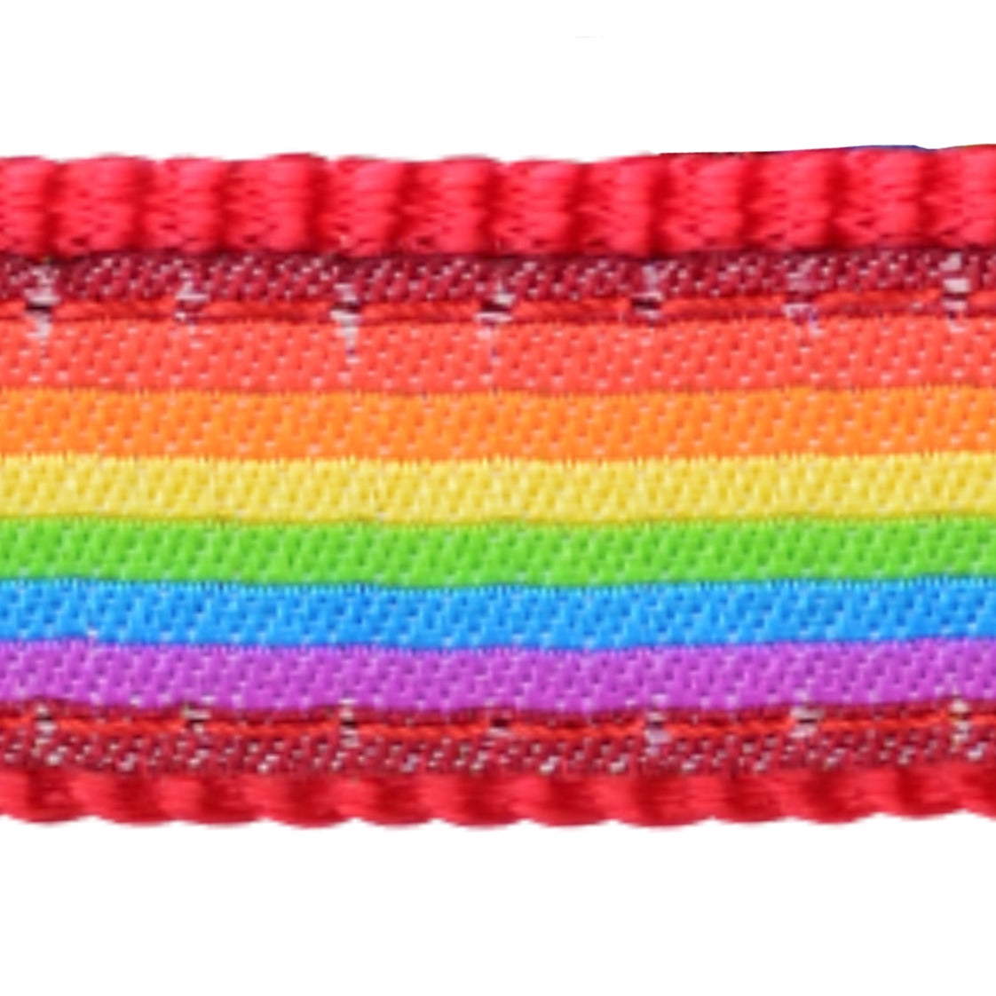 Rainbow Dog Collar