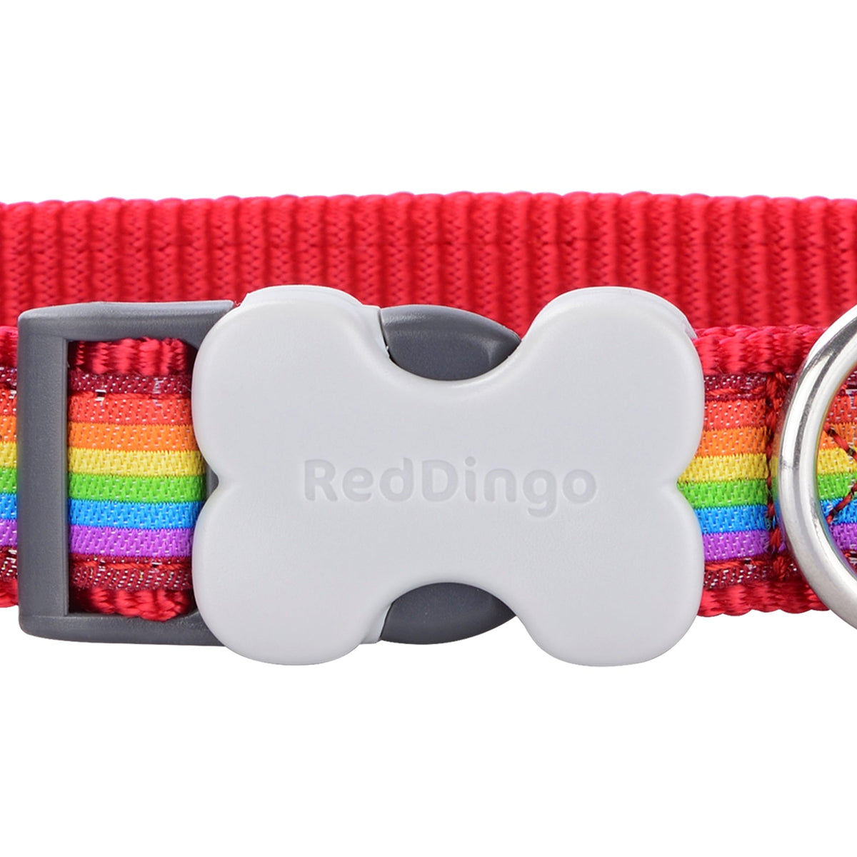 Rainbow Dog Collar