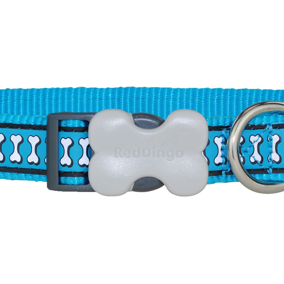 Reflective Dog Collar - Turquoise