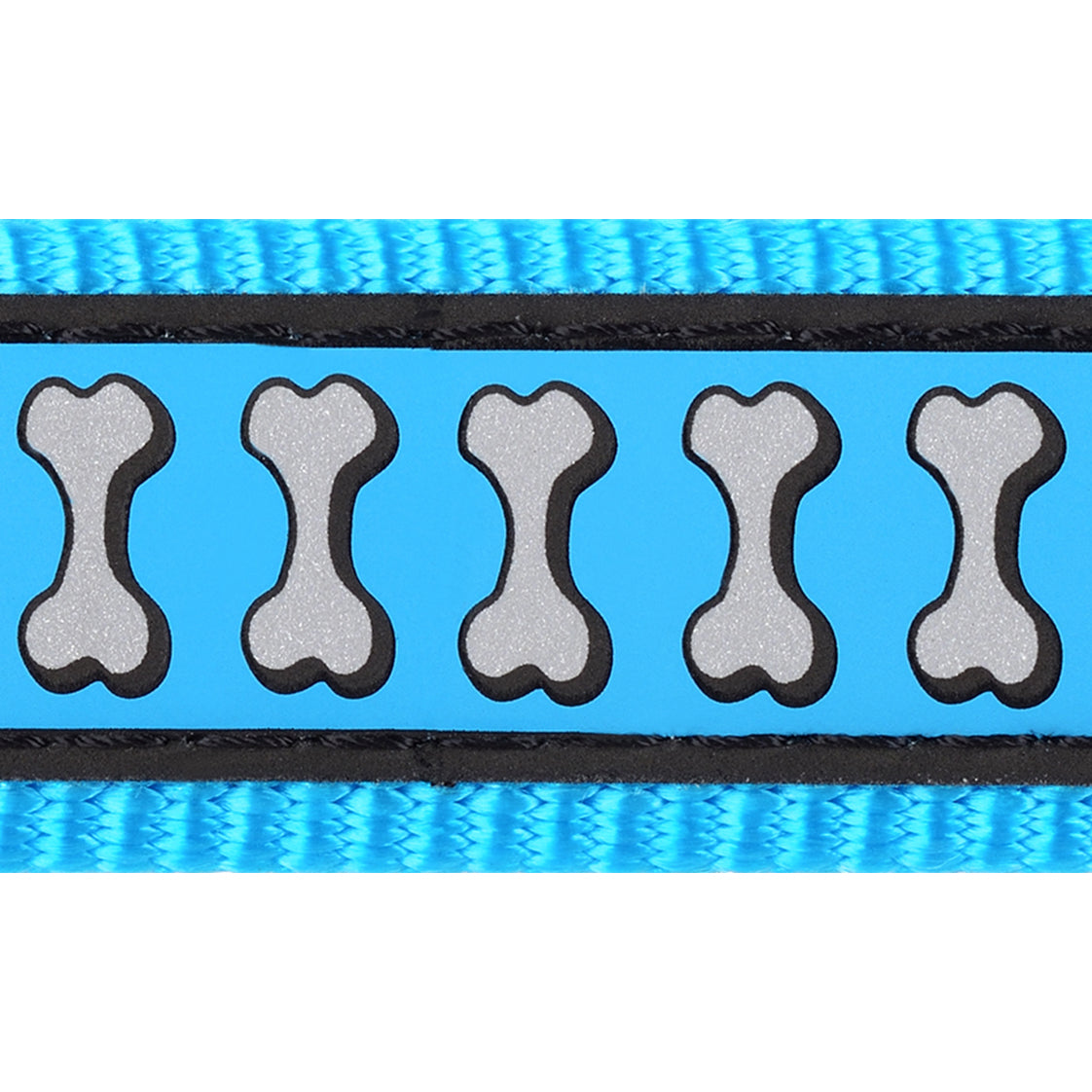 Reflective Dog Collar - Turquoise