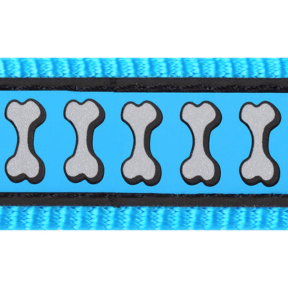 Reflective Dog Collar - Turquoise