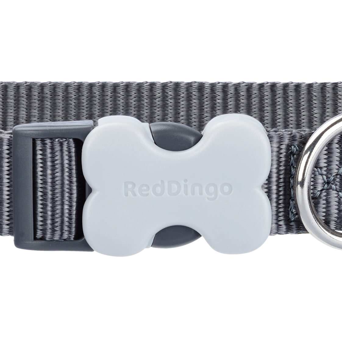 Classic Dog Collar - Grey