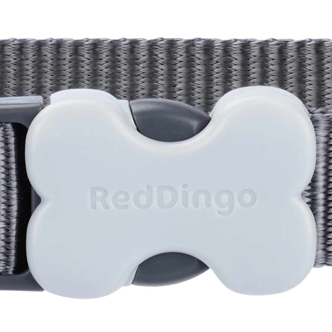 Classic Dog Collar - Grey