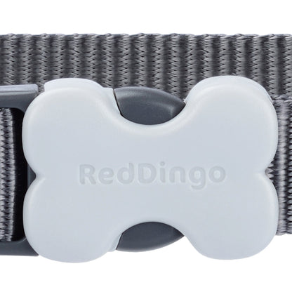 Classic Dog Collar - Grey