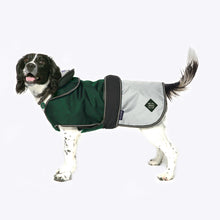 Danish Design Battersea 2-in-1 Dog Coat - Green