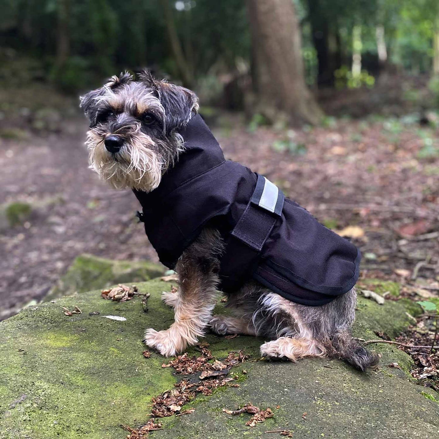 Danish Design 3-in-1 Dog Coat - Black