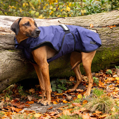Danish Design 3-in-1 Dog Coat - Navy