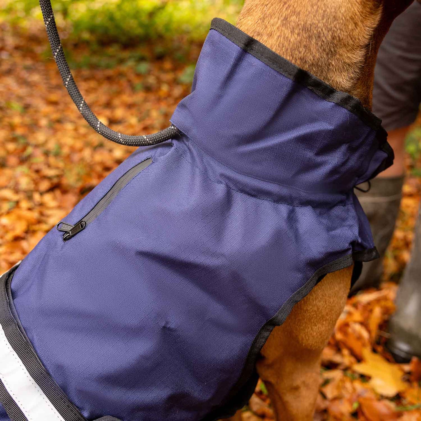 Danish Design 3-in-1 Dog Coat - Navy