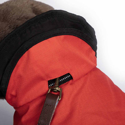Danish Design 2 in 1 Dog Coat - Orange - 16in / 40cm