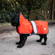 Danish Design 2 in 1 Dog Coat - Orange - 16in / 40cm