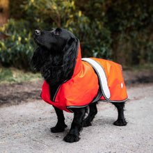 Danish Design 2 in 1 Dog Coat - Orange - 16in / 40cm