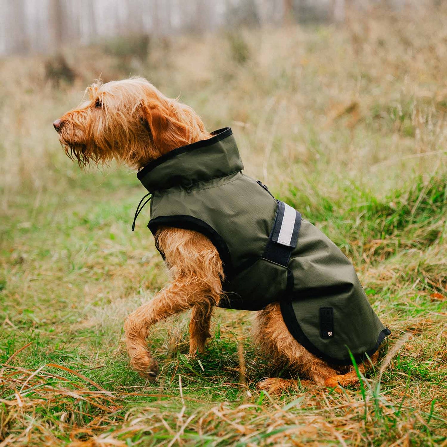 Danish Design 3-in-1 Dog Coat - Olive