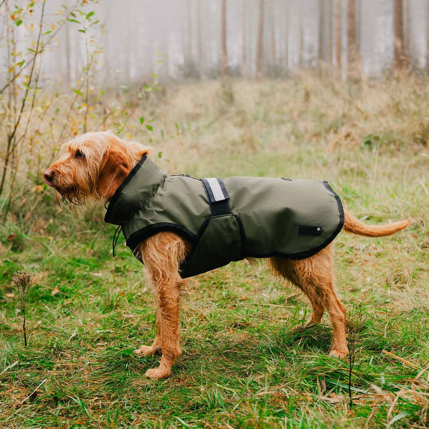 Danish Design 3-in-1 Dog Coat - Olive