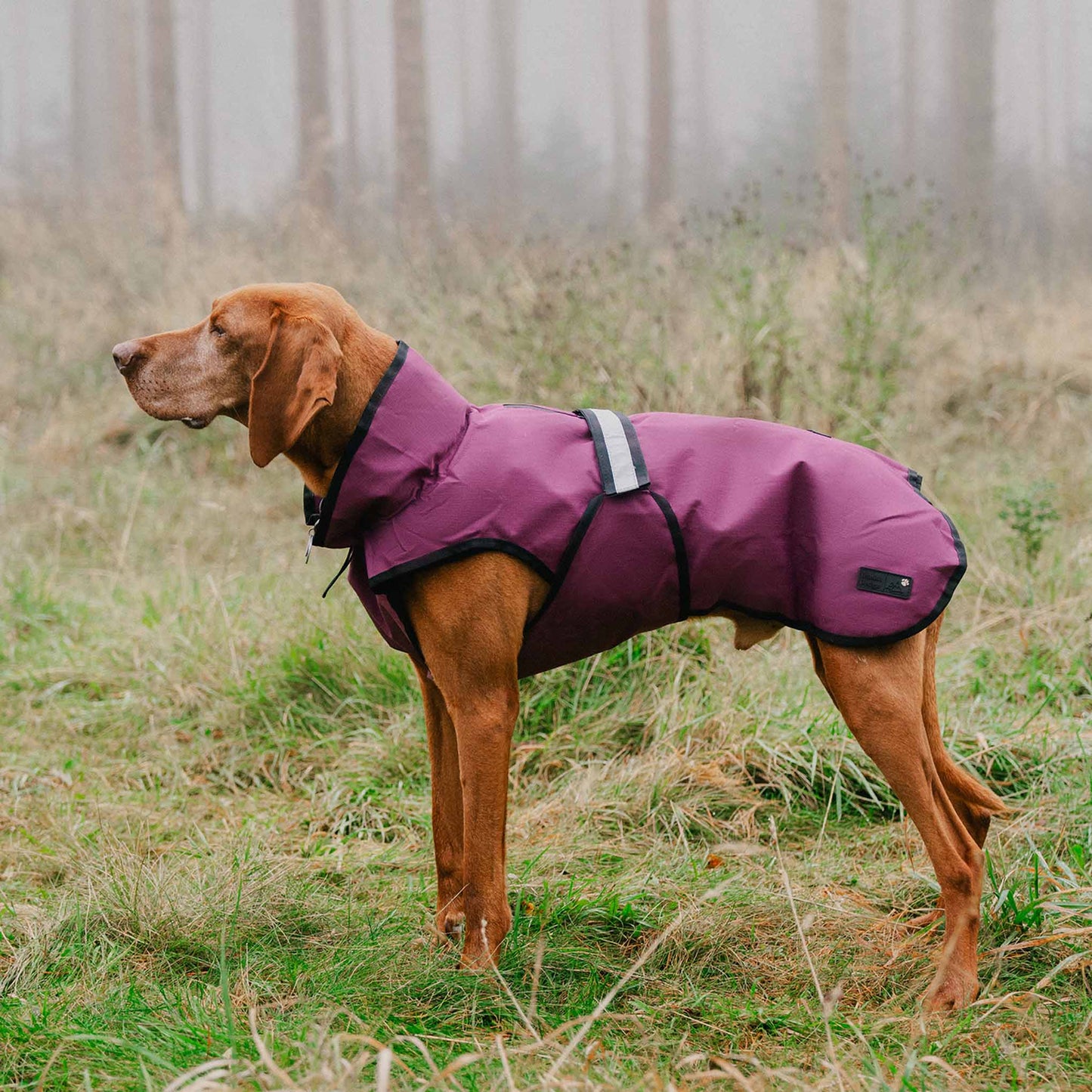 Danish Design 3-in-1 Dog Coat - Plum