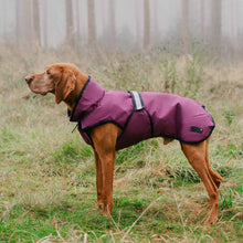 Danish Design 3-in-1 Dog Coat - Plum