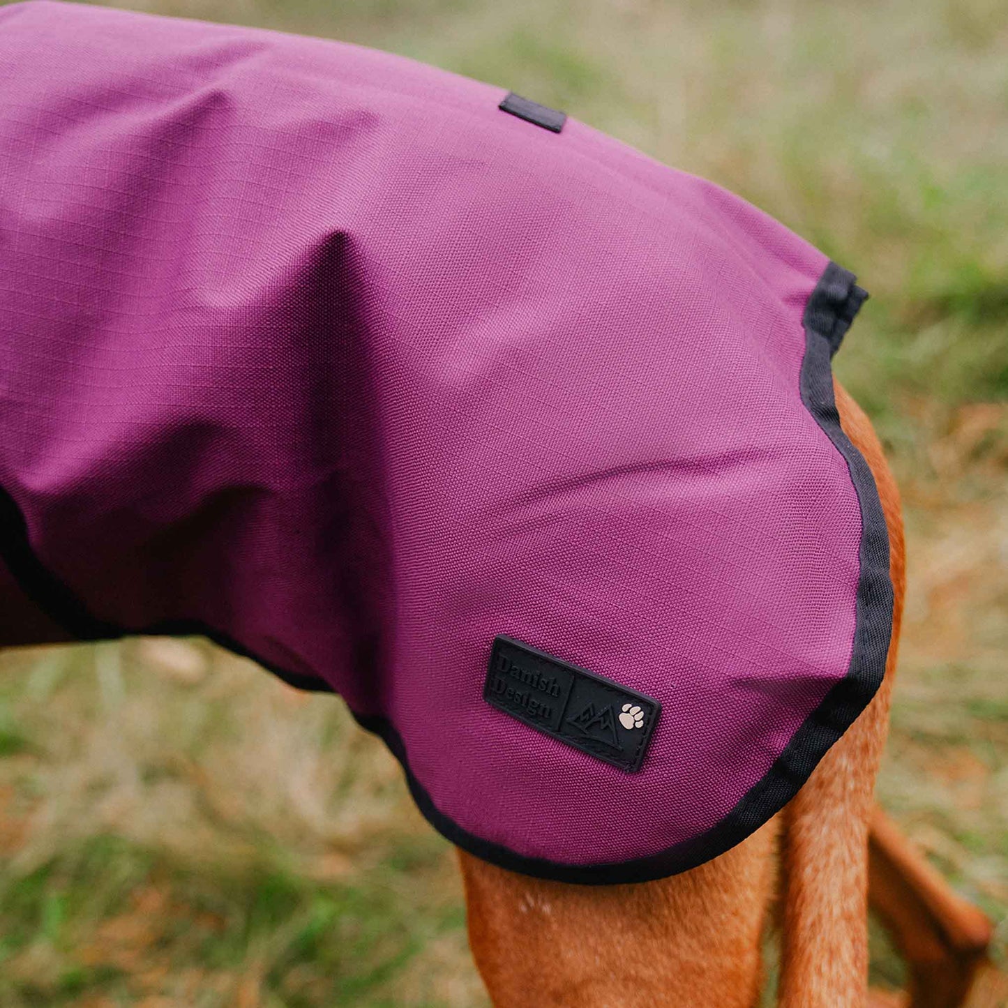 Danish Design 3-in-1 Dog Coat - Plum