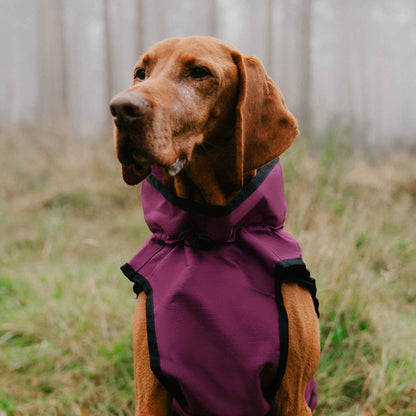 Danish Design 3-in-1 Dog Coat - Plum
