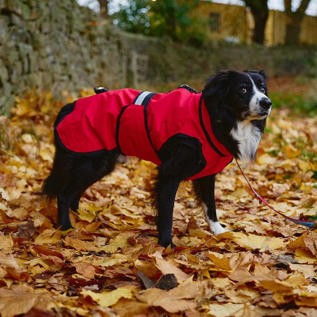 Danish Design 3-in-1 Dog Coat - Red