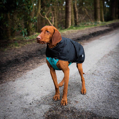 Danish Design Black Harness 2-in-1 Ultimate Dog Coat