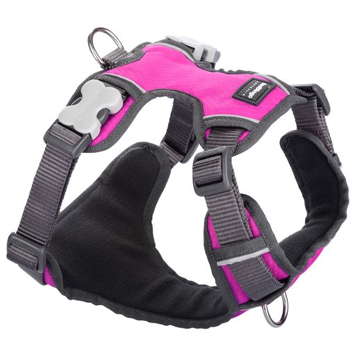 Padded Dog Harness - Pink