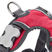 Padded Dog Harness - Red