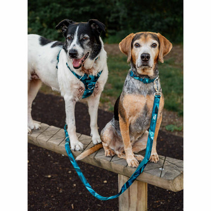 Twiggy Tags Lagoon Adventure 2.0 Dog Lead Close Control