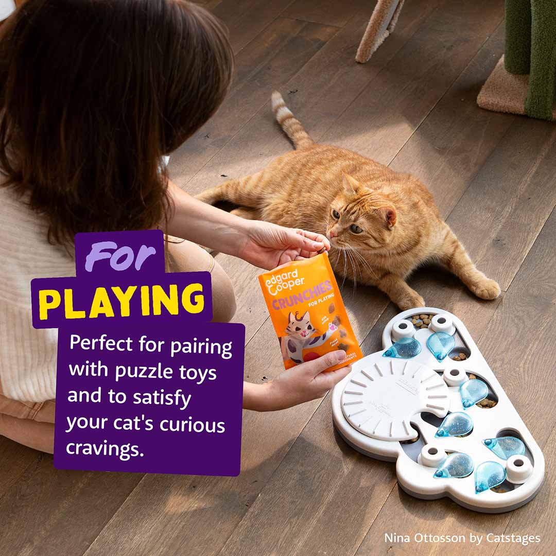 Edgard & Cooper Cat Treats - Chicken Crunchies - 50g