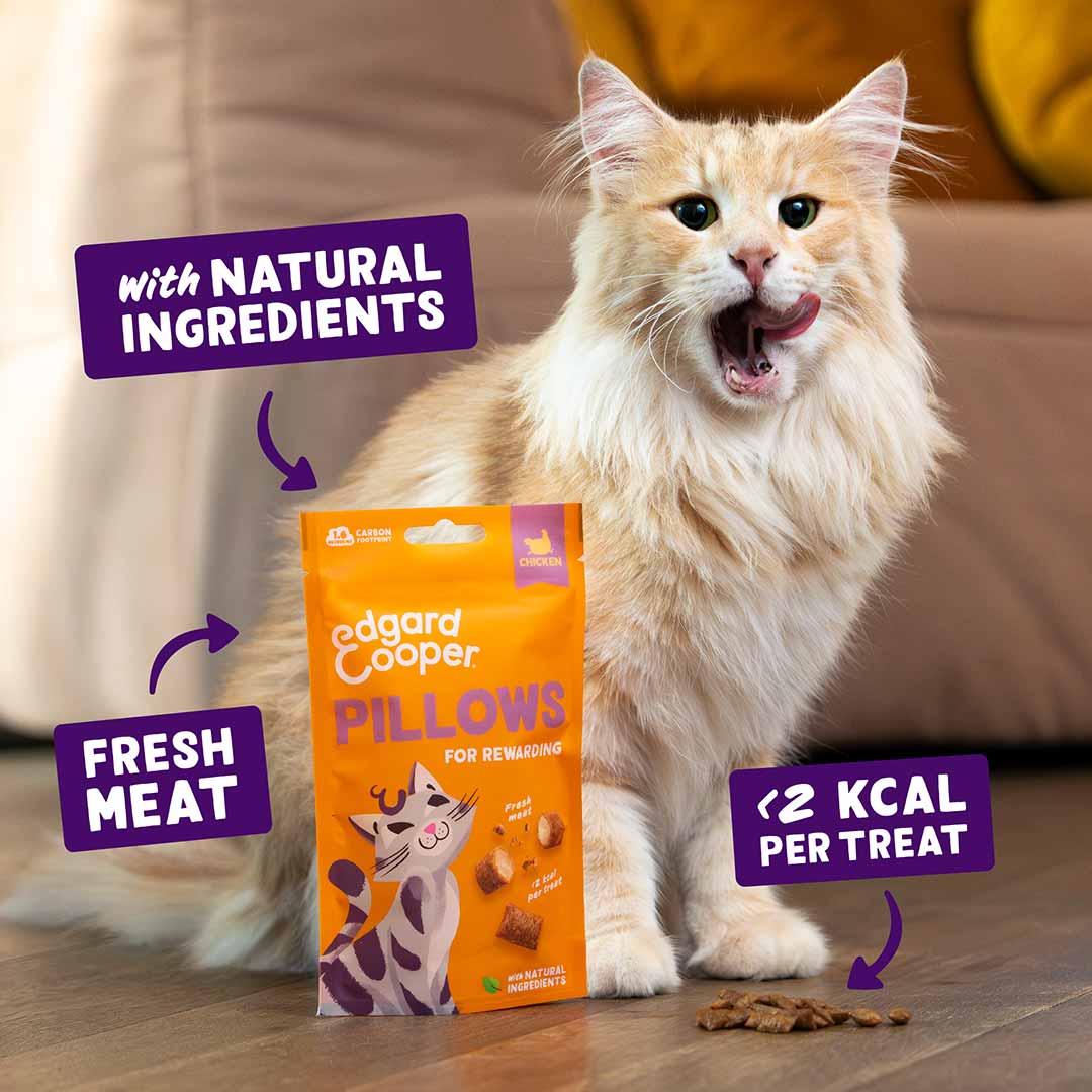 Edgard & Cooper Cat Treats - Chicken Pillows - 60g